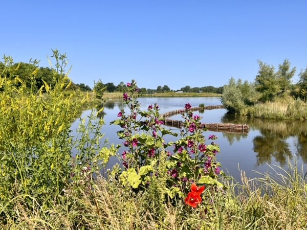 Natuurbegraafplaats Geestmerloo